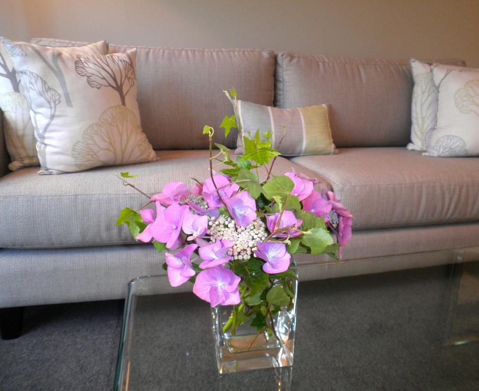 Firth Street Mews B&B Matamata Extérieur photo